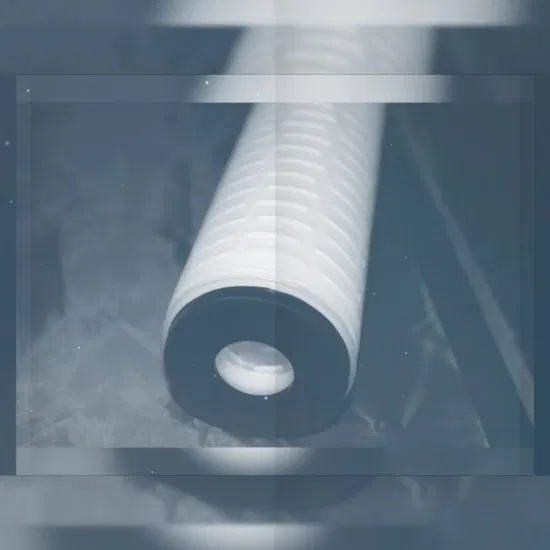 PP Pes PTFE Membrane Pleated Cartridge Filter 0.1um 0.2um
